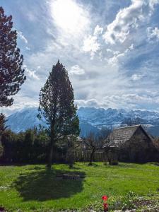 a tree in a field with mountains in the background at Hotel Aquamarin in Bad Mitterndorf
