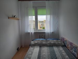 um pequeno quarto com uma cama e uma janela em Apartament Fileo em Koszalin