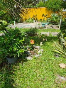 a garden with flowers and plants in the grass at Casa a 10 passos do mar - Temporada na Praia in Tamoios