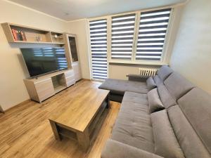ein Wohnzimmer mit einem Sofa und einem Flachbild-TV in der Unterkunft Apartament na Matejki in Świnoujście