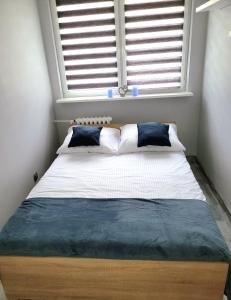 Bett in einem Zimmer mit Fenster in der Unterkunft Apartament na Matejki in Świnoujście