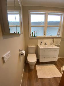 a bathroom with a toilet and a sink and two windows at Birch Court - Harakeke in Whanganui