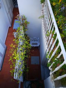 Balkón nebo terasa v ubytování Muta House