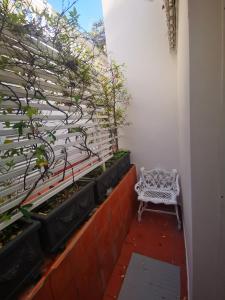 Balkón nebo terasa v ubytování Muta House
