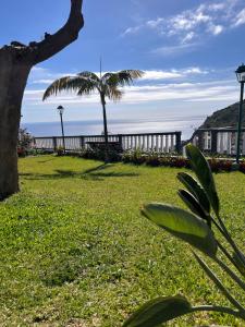a palm tree in a yard with the ocean in the background at Tropical Garden in Arco da Calheta
