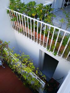 Balkón nebo terasa v ubytování Muta House