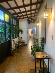 a hallway with potted plants and a table in a room at Casona Leguizamon in Salta