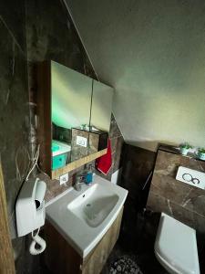 a bathroom with a sink and a toilet and a mirror at Villa Peisazhi in Ferizaj