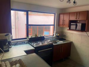 Kuchyň nebo kuchyňský kout v ubytování Suites Incoreli, Departamento 4