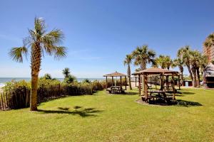 a park with palm trees and a gazebo at Ocean Blvd Studio, Unit 419 in Myrtle Beach
