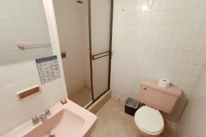 een badkamer met een wastafel, een toilet en een douche bij Hotel Gold Fénix in Tunja