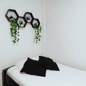 a bedroom with a bed with plants on it at HABITACIÓN INDEPENDIENTE CERCA AL CENTRO in Santa Marta