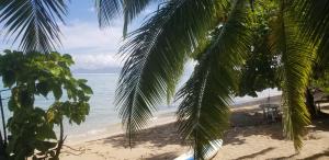 a view of a beach with palm trees and the ocean at Puna Home in Punaauia