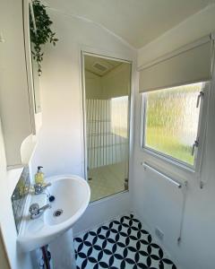 a bathroom with a sink and a shower and a mirror at Trimingham Static Van in Trimingham