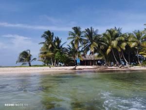 uma praia com palmeiras e um edifício em Hotel Little Queen Lobster em Laguna de Perlas