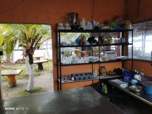 a kitchen with a counter and a shelf with dishes at Hotel Little Queen Lobster in Laguna de Perlas
