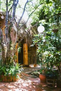 Đà Lạt Củi Homestay外面的花园
