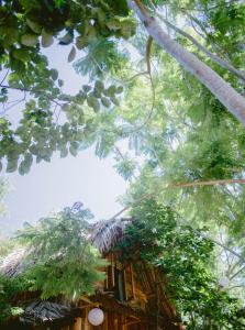Đà Lạt Củi Homestay外面的花园