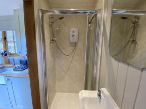 a bathroom with a shower and a sink at Kingfisher in Chirk