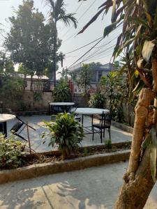 Aed väljaspool majutusasutust Hotel Tiger Tops Sauraha