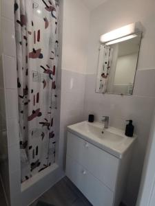 a bathroom with a sink and a shower curtain at L'autre Cachette Secrète in Choisy-le-Roi