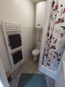 a bathroom with a toilet and a shower curtain at L'autre Cachette Secrète in Choisy-le-Roi