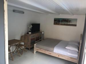 um quarto com uma cama, uma televisão e uma cadeira em Villa bassin bleu em Gourbeyre