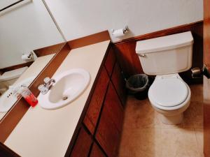 a bathroom with a toilet and a sink at Golden Sunflower's Apartment B1 in Lawton