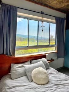 1 dormitorio con 1 cama y ventana grande en צימרים בצפון - עץ נוי en Sheʼar Yashuv