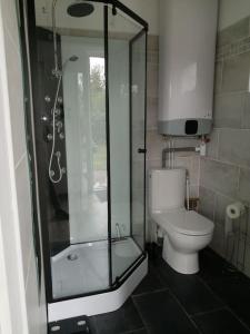 a bathroom with a toilet and a glass shower at Le petit Loir, gîte sur la Loire à vélo 