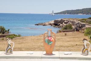 Táj Show holiday homes közelében
