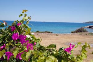 Táj Show holiday homes közelében