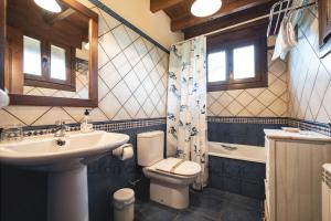 a bathroom with a sink and a toilet and a mirror at La Coqueta Del Sueve in Arriondas
