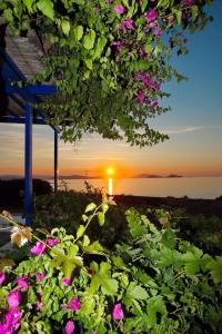 Táj Show holiday homes közelében
