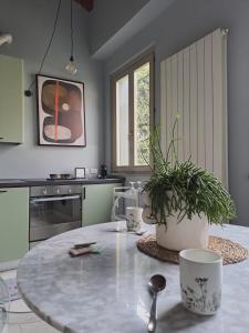 - une cuisine avec une table et une plante en pot dans l'établissement Pontida 27, à Bergame