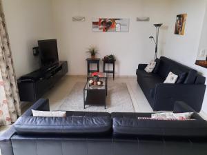 un soggiorno con divano nero e TV di Hof van Eggertingen nr. 8 a Riemst