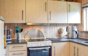 Kuchyň nebo kuchyňský kout v ubytování Holiday Home Tofteager
