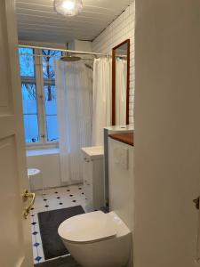 ein Bad mit einem WC, einem Waschbecken und einem Fenster in der Unterkunft Ultra central location in Kopenhagen