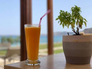 una bebida sentada en una mesa junto a una maceta en Studio at beautiful beach Kouremenos, en Anevató