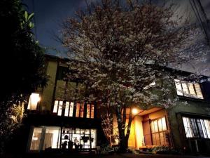 a tree in front of a building at night at Diplomat House very close to JR Station in Tokyo