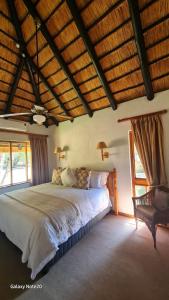 ein Schlafzimmer mit einem großen Bett in einem Zimmer mit Fenstern in der Unterkunft Kruger Park Lodge Unit No. 243 in Hazyview