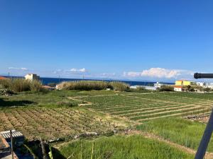 Imagine din galeria proprietății VOULA'S HOUSES în Karlovasi +17 fotografii