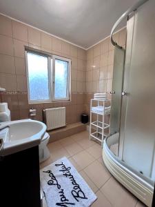 een badkamer met een bad, een wastafel en een douche bij Vila Brad in Predeal