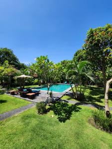 a swimming pool in a yard with trees and grass at Agung Wiwin Homestay & Restaurant in Mengwi