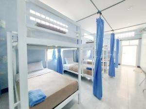 - une chambre avec 2 lits superposés et des rideaux bleus dans l'établissement Khao Sok Backpacker Hostel, à Khao Sok