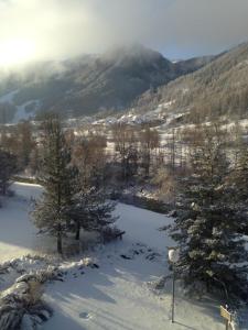 拉萨尔莱阿尔佩T2ideal vue imprenable sur la guisane的一片覆盖着树木和山脉的雪地