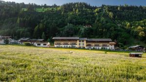 um grande edifício no meio de um campo em Apparthotel AlpenChalet em Neukirchen am Grossvenediger