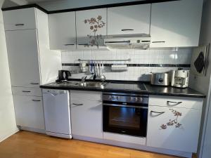 a kitchen with white cabinets and a sink and a stove at Ferienidyll Aumühle, "Wiesengrund" in Rot am See