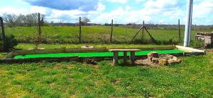 A garden outside Casavacanze Pergolino, appartamenti ad uso esclusivo