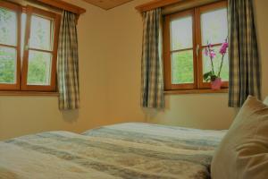 1 dormitorio con 2 ventanas y 1 cama en Ferienwohnung Jaud - Gmund am Tegernsee en Gmund am Tegernsee